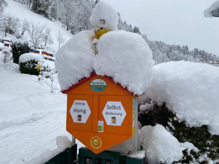 Master beekeeper  - Imprese #2.3 | © Gebirgsimkerei Schladming